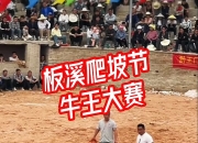 英雄联盟总决赛2025-公牛惊险取胜老鹰，追平东部前列的简单介绍