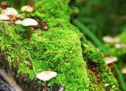 英雄联盟总决赛2025-铁卫巴斯托尼，从钢铁防线到绝杀利刃，哥伦比亚惊天逆转瑞士