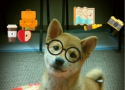 英雄联盟总决赛赛程-手术刀与指南针，当土耳其的精密切割遇上格列兹曼的战场证明