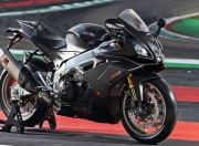 英雄联盟总决赛2025-欧冠跨界战场，辽宁男篮淬火之夜