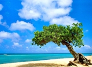 英雄联盟总决赛门票-跨时空胜利，步行者狂胜广东队，杜兰特扮演关键先生