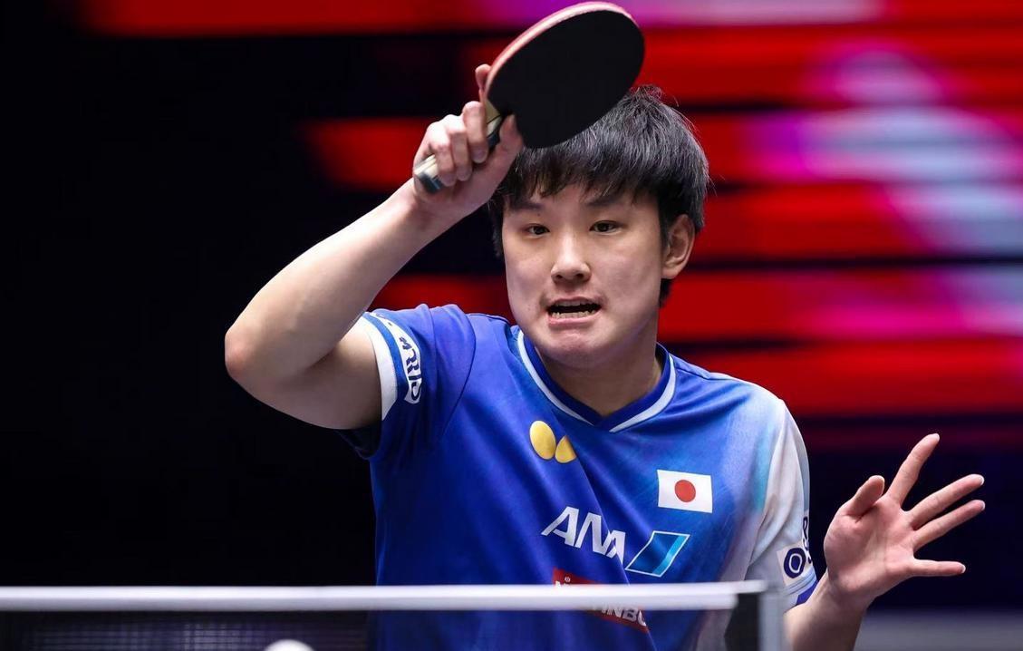 关于中国队险胜瑞典队,张本智和状态火热的信息 关于中国队险胜瑞典队,张本智和状态火热的信息