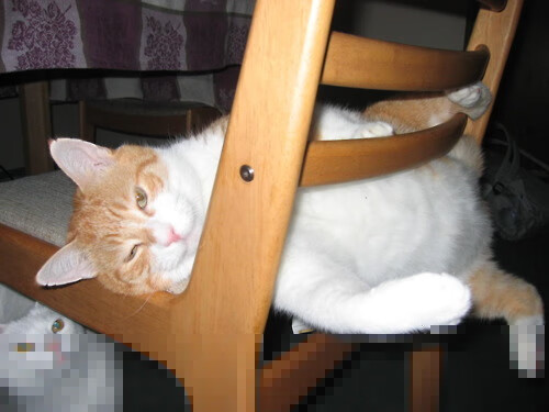 新星闪耀世纪之战的绿茵—蒂亚戈助乌拉圭力克厄瓜多尔书写传承新篇