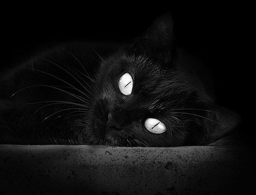 当棋盘震动,勒布朗·詹姆斯与鹈鹕防守的溃败交响曲