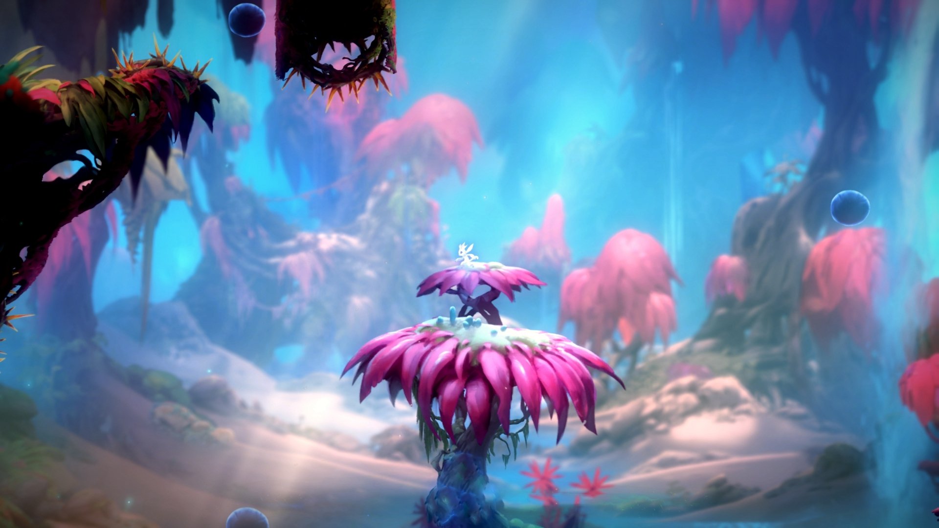 横跨两大洲的体育之夜,雷霆提前终结悬念,马克西在意甲接管比赛