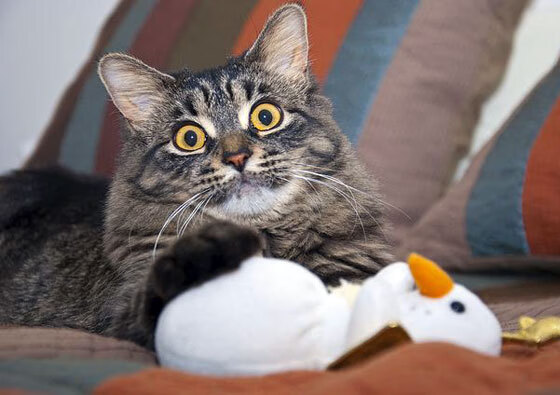 双城记，当奇才强势晋级映照克莱压力下的爆发