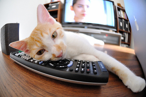 绝境之光,布雷默的钢铁意志,铸就挪威翻盘加纳的唯一路径