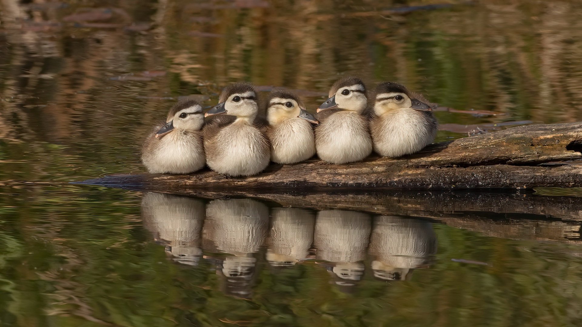 用一管改写生死簿,哈弗茨末节15分逆转季后赛抢七之夜