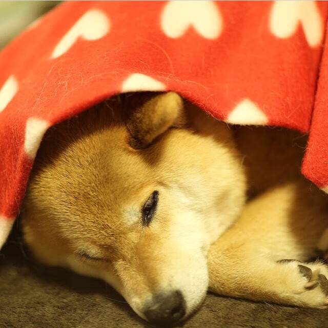 唯此一剑,裂破长夜,罗德里,那个为大场面而生的男人