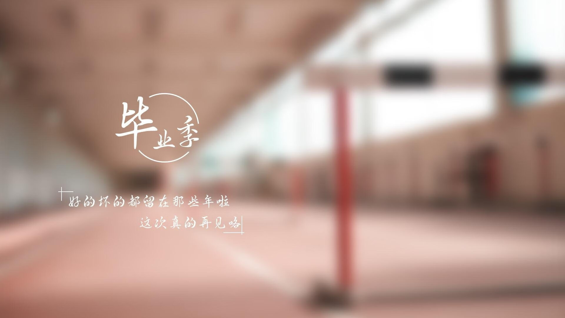 唯一性的法则，当哈兰德用膝盖思考，当委内瑞拉用信念冲垮宿命